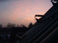 l-p1000175-r.jpg